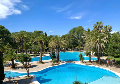 Vaste espace piscine entouré de palmiers au Camping & Resort La Torre del Sol, Costa Dorada, sous un ciel bleu.