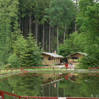 Alloggio glamping con tende safari presso uno stagno, immerso nella foresta a Safritop am Mühlenteich.