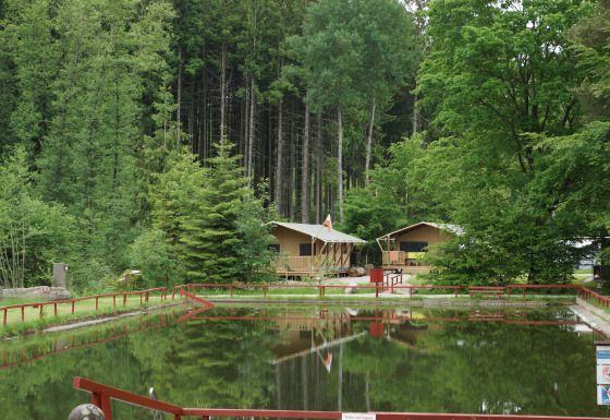 Glamping-accommodatie met safaritenten aan een vijver, omgeven door bos bij Safritop am Mühlenteich.