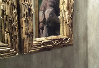Bagno con lavabi in pietra e specchio con cornice in legno che riflette l'immagine di un bufalo.