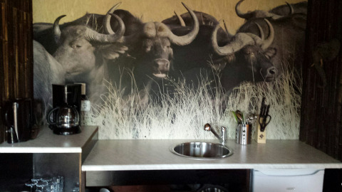 Coin cuisine intérieur de glamping avec cafetière, évier et bloc de couteaux devant une fresque de buffles.