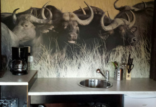 Angolo cottura glamping interno con macchina del caffè, lavello e coltelli davanti a murale di bufali.