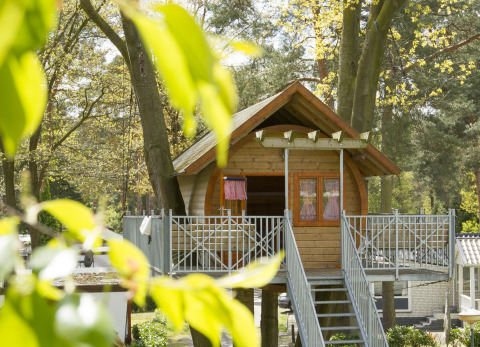 Alloggio in casa sull'albero a Kampeerbos de Simonshoek, perfetto per il glamping e immerso nel verde.
