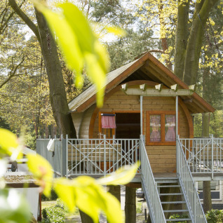 Boomhutaccommodatie in Kampeerbos de Simonshoek, ideaal voor glamping, omgeven door bomen en natuur.