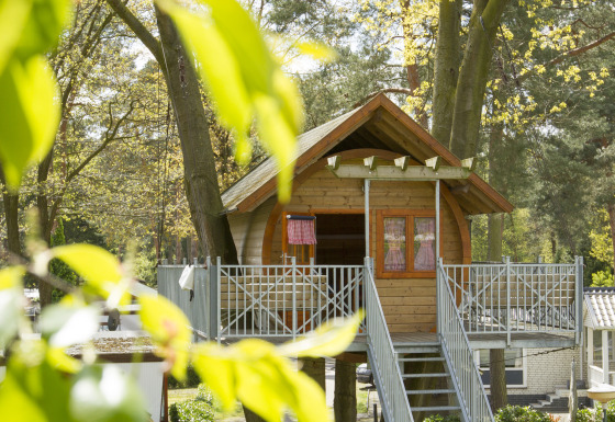 Alloggio in casa sull'albero a Kampeerbos de Simonshoek, perfetto per il glamping e immerso nel verde.