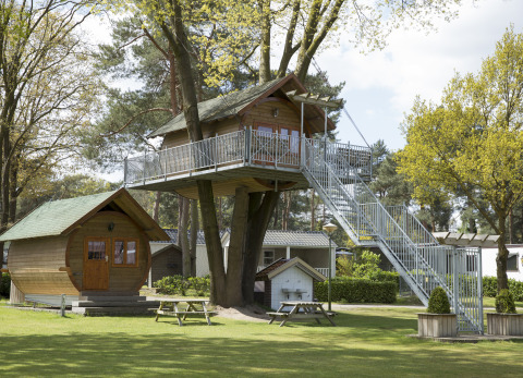 Alojamiento glamping en Kampeerbos de Simonshoek con casa en el árbol y cabañas en medio de la naturaleza.