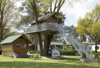 Glamping accommodatie bij Kampeerbos de Simonshoek, met een boomhut en houten huisjes in een bosrijke omgeving.