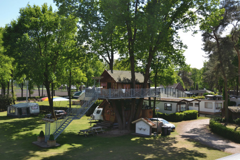 Glamping Kampeerbos de Simonshoek con originali case sull’albero e caravan immersi in una verde foresta.