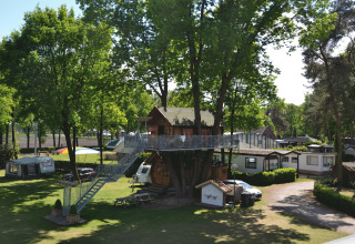 Glampingområde Kampeerbos de Simonshoek med unikke træhuse og campingvogne midt i frodig skov.