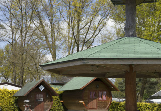 Uniek glamping bij Kampeerbos de Simonshoek met houten tonhutten en een hooggelegen boomhut.