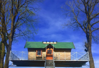 Glamping boomhut met groen dak op Kampeerbos de Simonshoek, tussen bomen en onder een blauwe lucht.