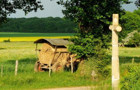 Vue sur les champs à Kimaro Farmhouse - Safaritenten Bourgogne, chariot de foin et croix champêtre, ambiance camping.