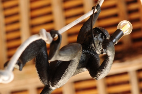 Lampe originale en forme de singe tenant une ampoule au Kimaro Farmhouse - Safaritenten Bourgogne glamping.