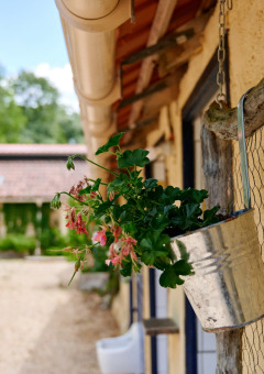 Flor - Villatent - Camping Lestaubiere - Douville, Dordoña, Francia