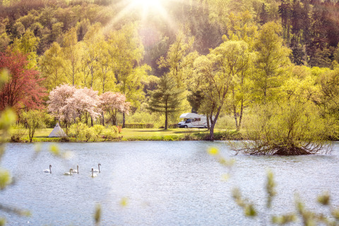 Frühlingslandschaft am Teichmann-See mit Schwänen, Wohnmobil und Glamping zwischen blühenden Bäumen in Hessen.