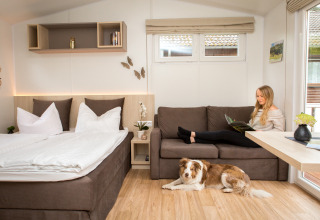 Moderne glamping-accommodatie bij Camping en Vakantiepark Teichmann, Hessen, met bed, bank en hond.