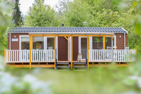 Accogliente casetta glamping con veranda e cane, immersa nel verde, presso Camping en Vakantiepark Teichmann.