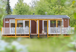 Accogliente casetta glamping con veranda e cane, immersa nel verde, presso Camping en Vakantiepark Teichmann.