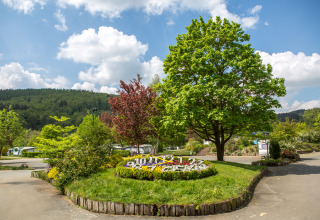 Vue sur Camping en Vakantiepark Teichmann à Hesse avec arbres verts, massif de fleurs et ciel ensoleillé.