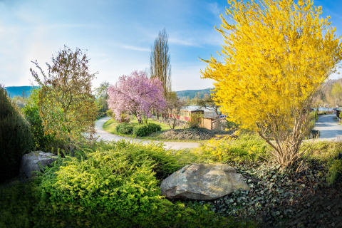 Colorful flowering trees and Glamping accommodations at Camping en Vakantiepark Teichmann, Hessen, in spring.