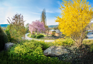Arbres fleuris et hébergements glamping au Camping et Parc de Vacances Teichmann, Hessen, au printemps.