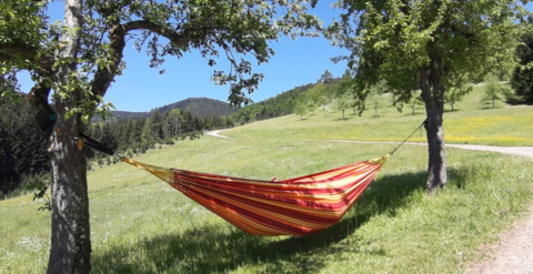 Rood-gele hangmat tussen twee bomen op een grasveld bij Gallushof, Baden-Württemberg, ideaal voor glamping.