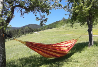 Hamaca roja y amarilla entre dos árboles en un prado verde en Gallushof, Baden-Württemberg, experiencia glamping.