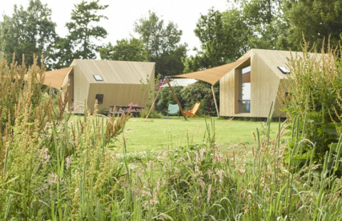 Écolodges de glamping durables à It Dreamlân, en Frise, Pays-Bas, entourés de nature et de verdure.