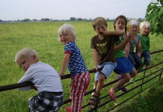 Children playing and sitting on a fence in the green fields at It Dreamlân - Ecolodges Friesland glamping site.