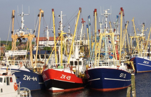 Fishing boats docked together at the harbor near It Dreamlân - Ecolodges Friesland, glamping and campsite, Netherlands.
