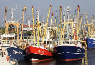 Bateaux de pêche amarrés côte à côte au port près de It Dreamlân - Ecolodges Friesland, site de glamping aux Pays-Bas.