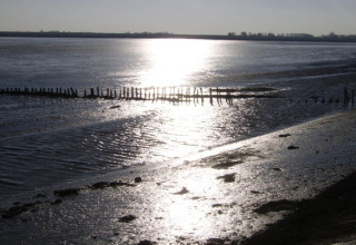 Sunset reflecting on a tranquil tidal beach near It Dreamlân - Ecolodges Friesland, ideal for glamping stays.