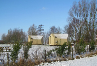 Ecolodges d’It Dreamlân en Frise en hiver, entourés d’arbres dénudés et de champs recouverts de neige.