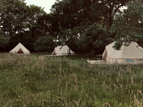 Glamping tenten bij Glamping Goed Van Den Bogaerde in West-Vlaanderen, gelegen in een grasveld met bomen.