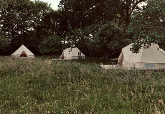 Glamping-Zelte bei Glamping Goed Van Den Bogaerde im Westflandern, zwischen hohen Bäumen und Wiese.