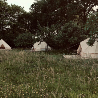 Glamping tenten op Glamping Goed Van Den Bogaerde, West-Vlaanderen, tussen gras en bomen in het groen.