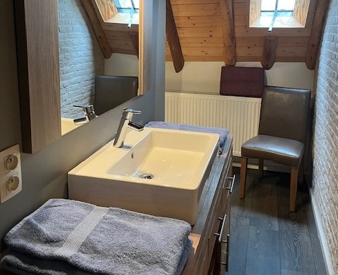 Moderne badkamer bij Glamping Goed Van Den Bogaerde met wasbak, handdoeken, houten balken en dakraam.