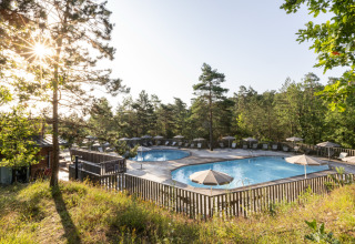 Udendørs swimmingpool omgivet af skov og liggestole på Village Huttopia Lanmary-Périgord Glamping Dordogne.
