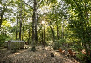 Glamping site at Village Huttopia Lanmary-Périgord in Dordogne, featuring cabins in a forest with sun rays.