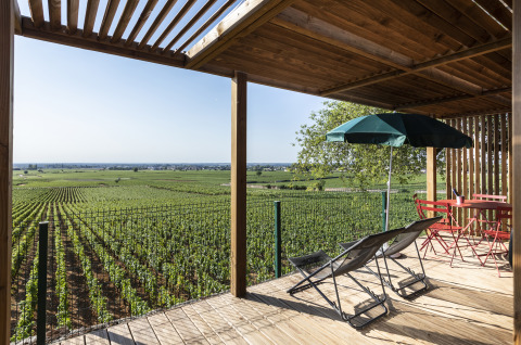 Terraza con tumbonas y sombrilla que da a viñedos en Huttopia Meursault - Glamping Bourgogne.