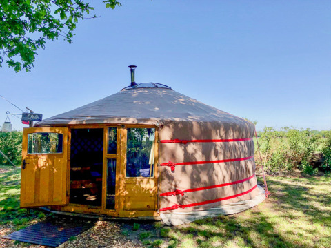 Glamping-accommodatie in een traditionele yurt bij Glamping 't Buitenland - Yurts Brabant, in de natuur.