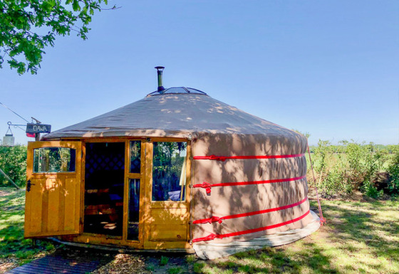 Alojamiento glamping tipo yurta en Glamping 't Buitenland - Yurts Brabant, rodeado de naturaleza y tranquilidad.