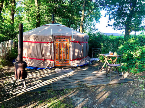 Yurt glamping accommodation in a wooded setting at Glamping 't Buitenland - Yurts Brabant with terrace.