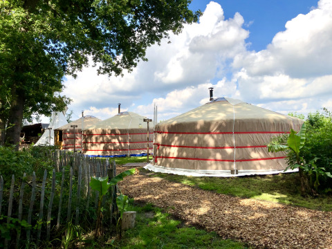 Deux grandes yourtes avec cheminées à Glamping 't Buitenland - Yurts Brabant, dans un cadre verdoyant.