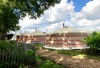 To store yurter med skorsten i grønt campingområde, Glamping 't Buitenland - Yurts Brabant, under blå himmel.