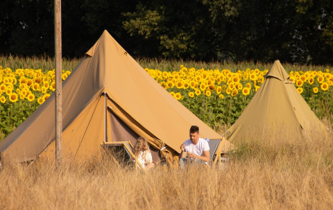 Dos personas hacen glamping frente a tiendas rodeados de girasoles y hierba seca en un día soleado.