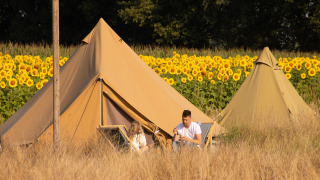 Dos personas hacen glamping frente a tiendas rodeados de girasoles y hierba seca en un día soleado.
