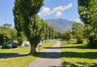 Camping Bellinzona in Zwitserland met glamping, tenten en yurts tussen groene bomen en bergen.