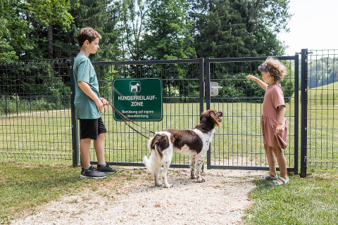 Twee kinderen en een hond bij het hek van de losloopzone op camping Camp MondSeeLand in Oostenrijk.