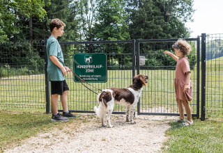 Twee kinderen en een hond bij het hek van de losloopzone op camping Camp MondSeeLand in Oostenrijk.